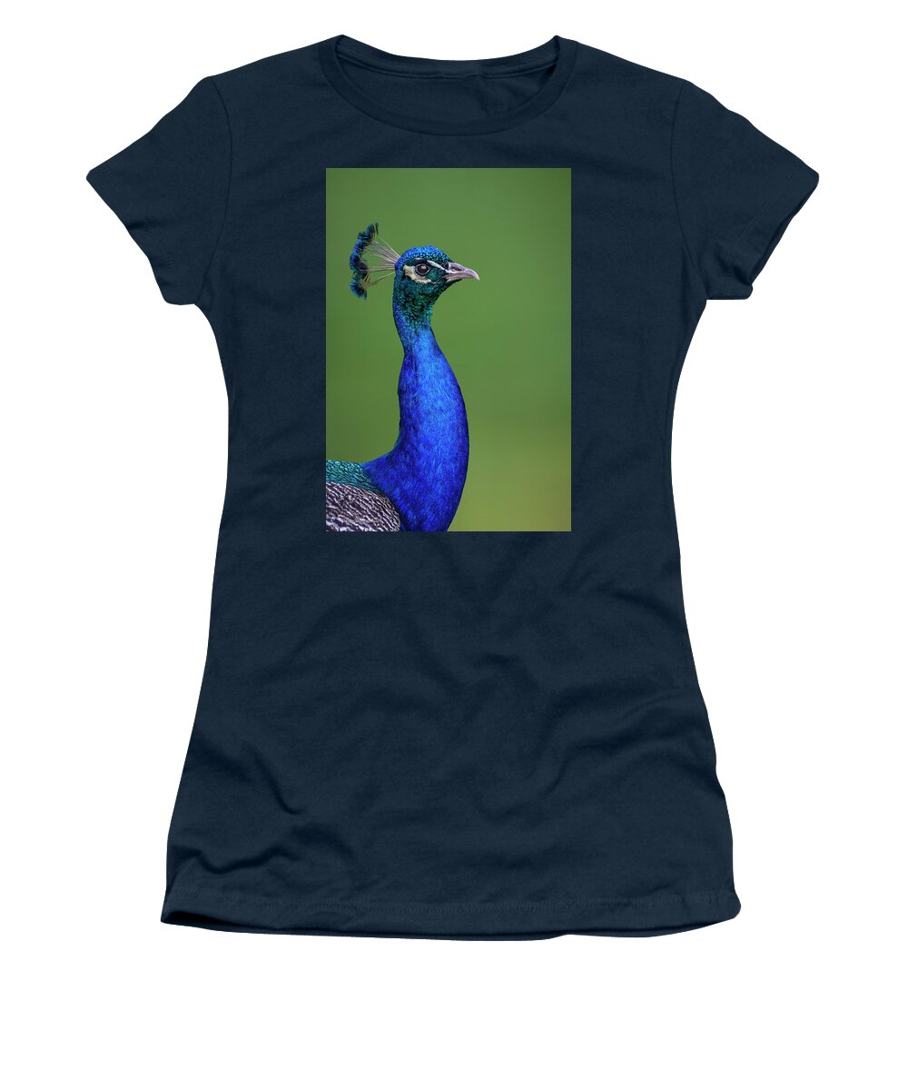 Peacock Women's T-Shirt featuring the photograph Peacock Blues by LeeAnn McLaneGoetz McLaneGoetzStudioLLCcom