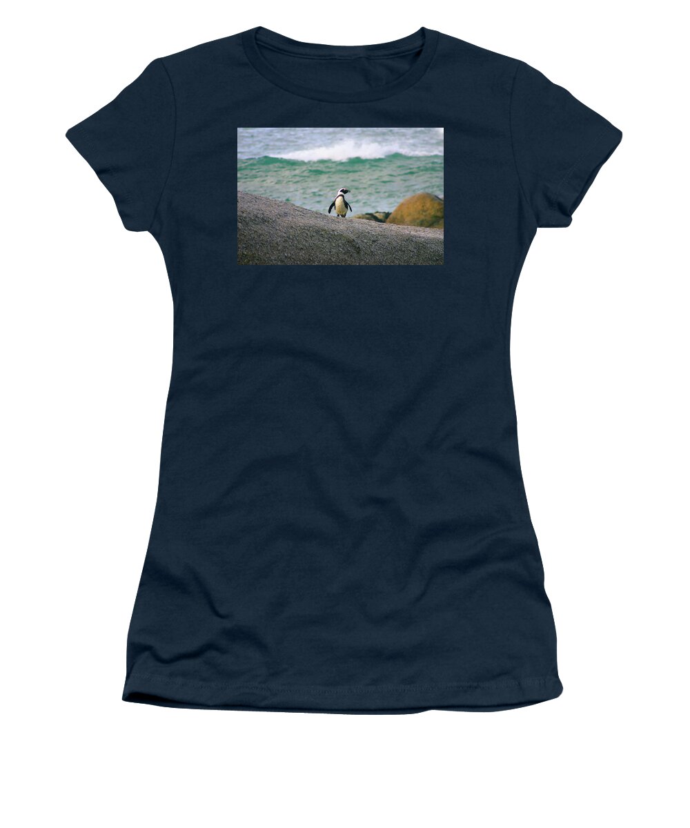 Penguin Women's T-Shirt featuring the photograph Penguin by Gene Taylor