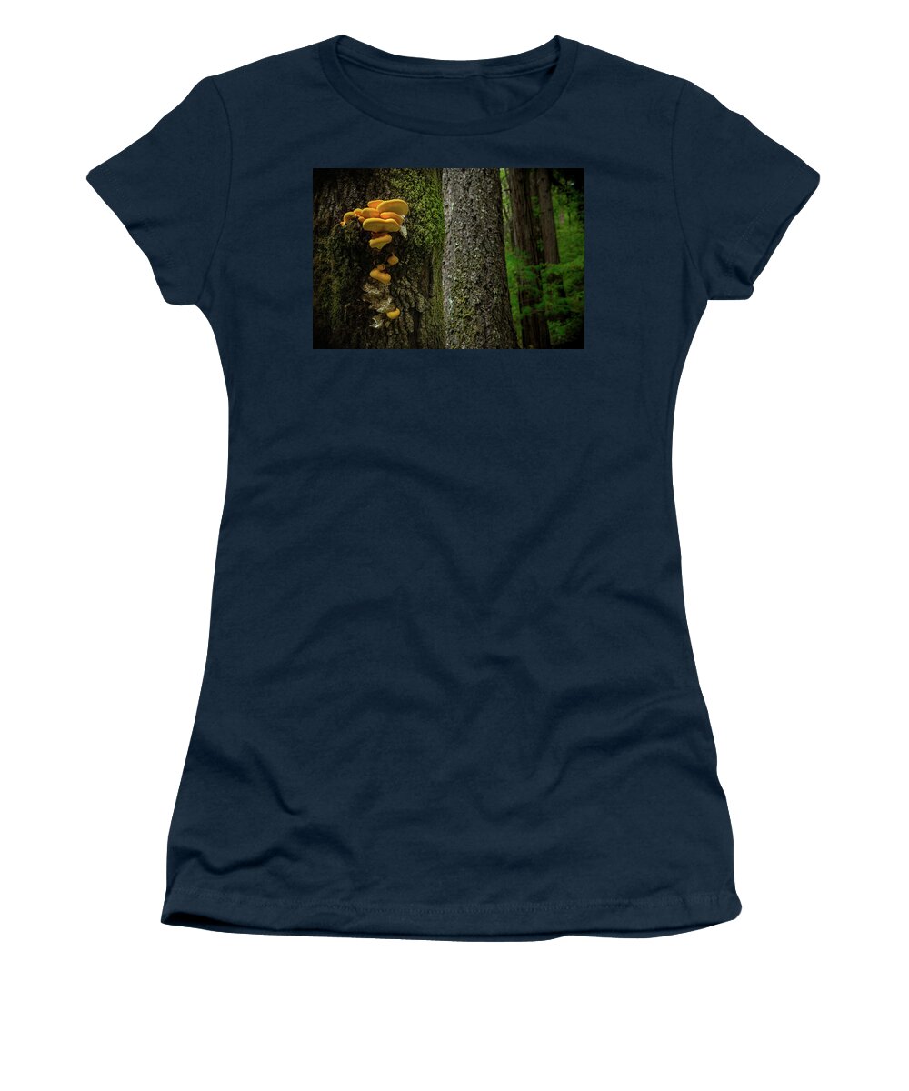 Tree Women's T-Shirt featuring the photograph Perspective by Ryan Workman Photography