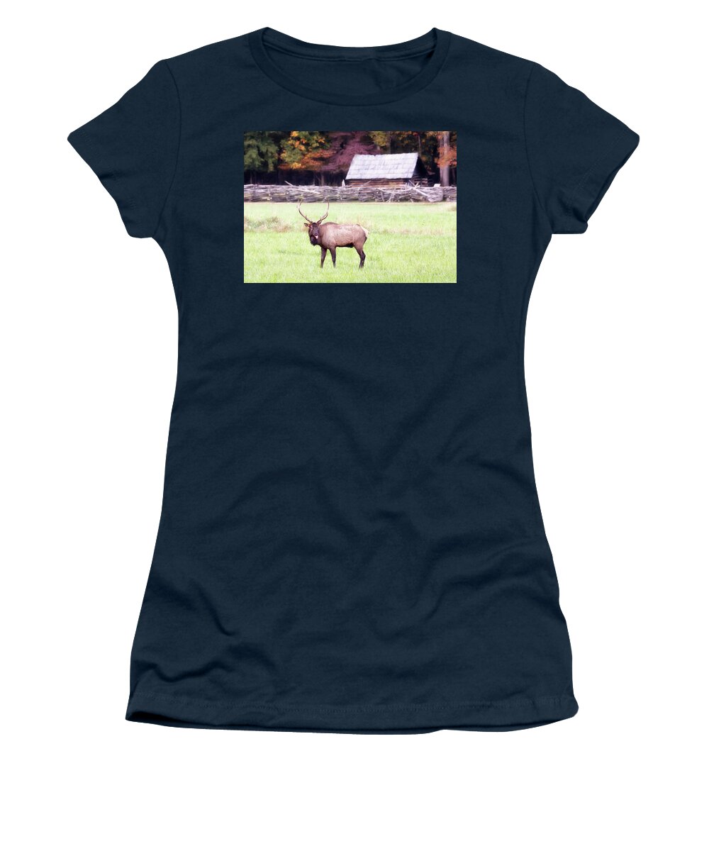 Elk Women's T-Shirt featuring the photograph Pfft - Bull Elk Sticking Tongue Out by Susan Rissi Tregoning