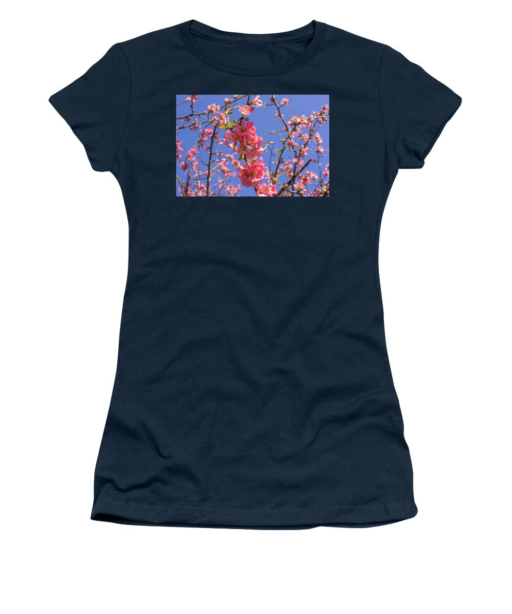Flower Women's T-Shirt featuring the photograph Pink and Blue by Rose Guinther