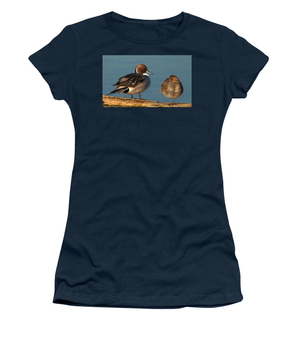 Ducks Women's T-Shirt featuring the photograph Pintails by Floyd Hopper