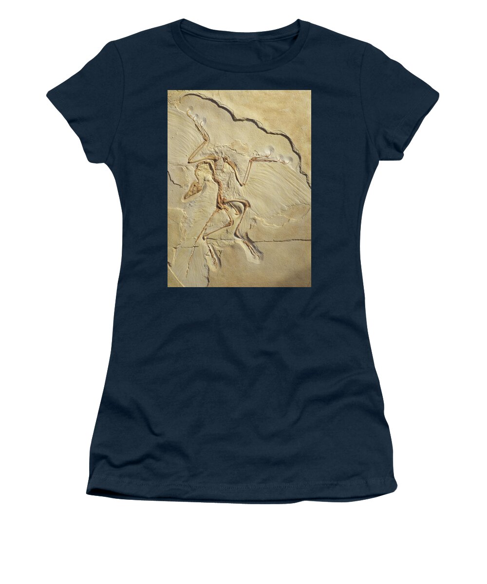 Feathered Dinosaur Women's T-Shirt featuring the photograph Plumage is not ramage by Karine GADRE