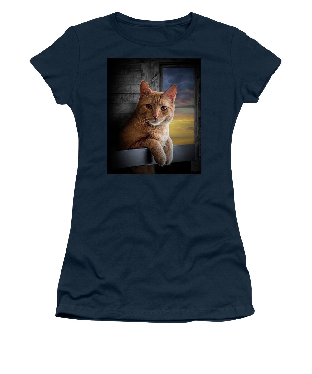 Pet Women's T-Shirt featuring the photograph Portrait of Domestic Cat looking at the Viewer by Randall Nyhof