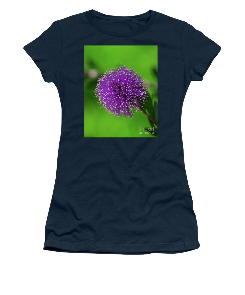 Nesophila Melaleuca Nesophila Drops Women's T-Shirt featuring the photograph Purple drops Melaleuca nesophila flower by Abigail Diane Photography