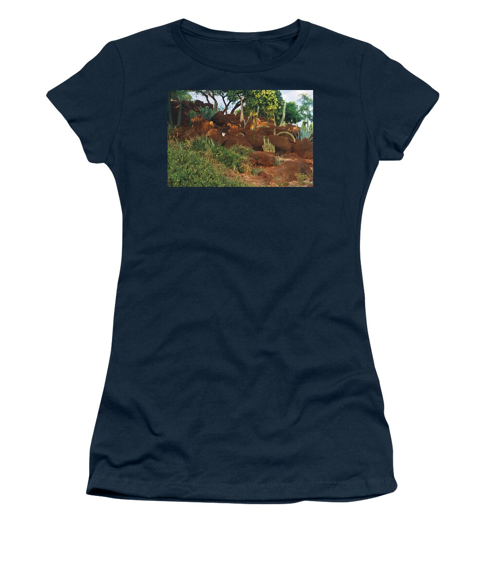 Cat Women's T-Shirt featuring the photograph Purrs and Spurs by Bess Carter