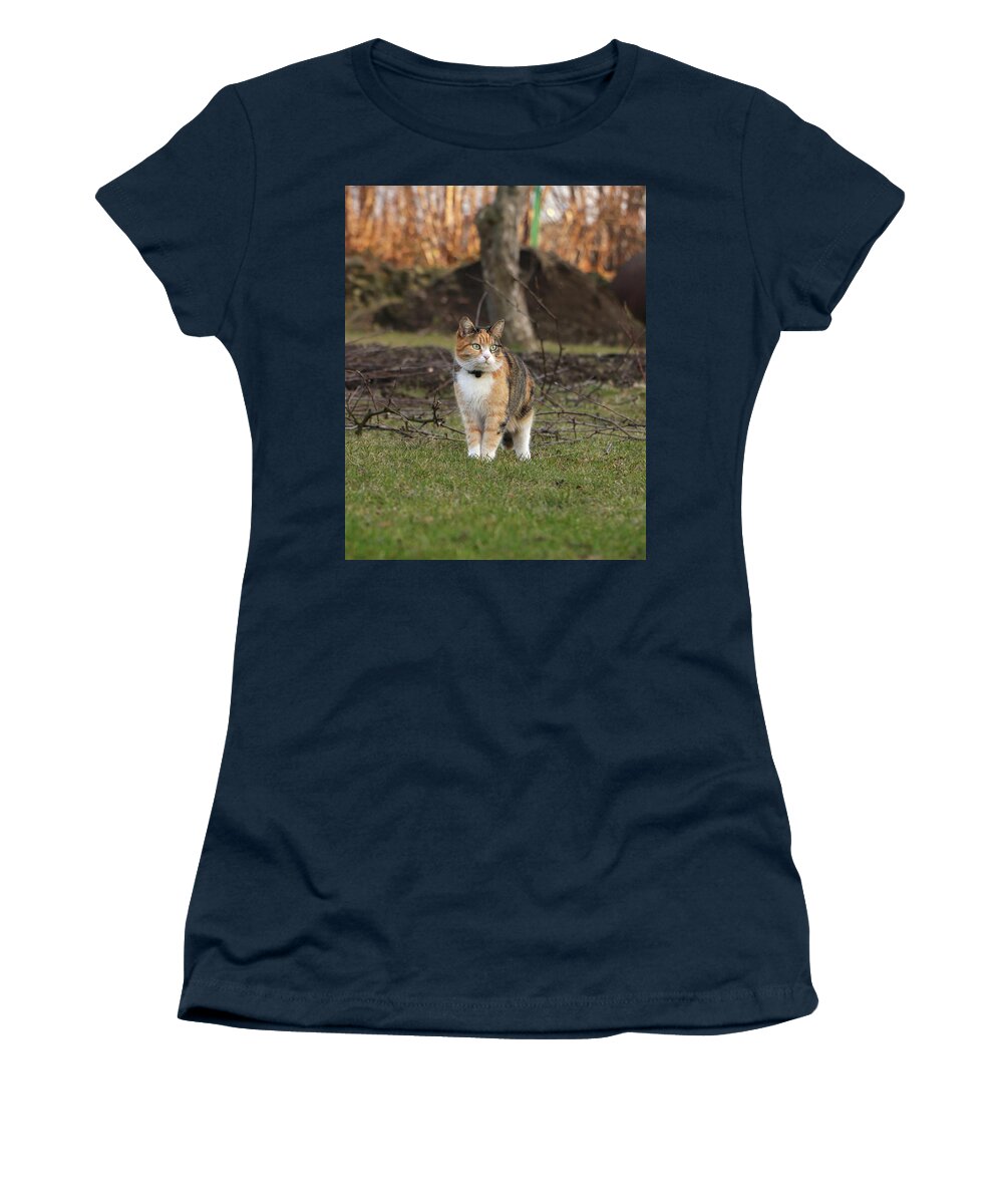 Liza Women's T-Shirt featuring the photograph Queen of wild cats walks by Vaclav Sonnek