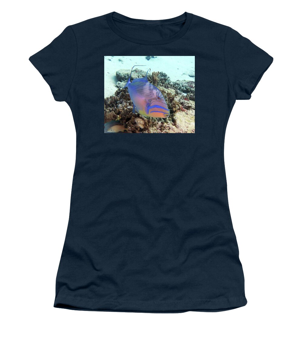 Underwater Women's T-Shirt featuring the photograph Queen Triggerfish 4 by Daryl Duda