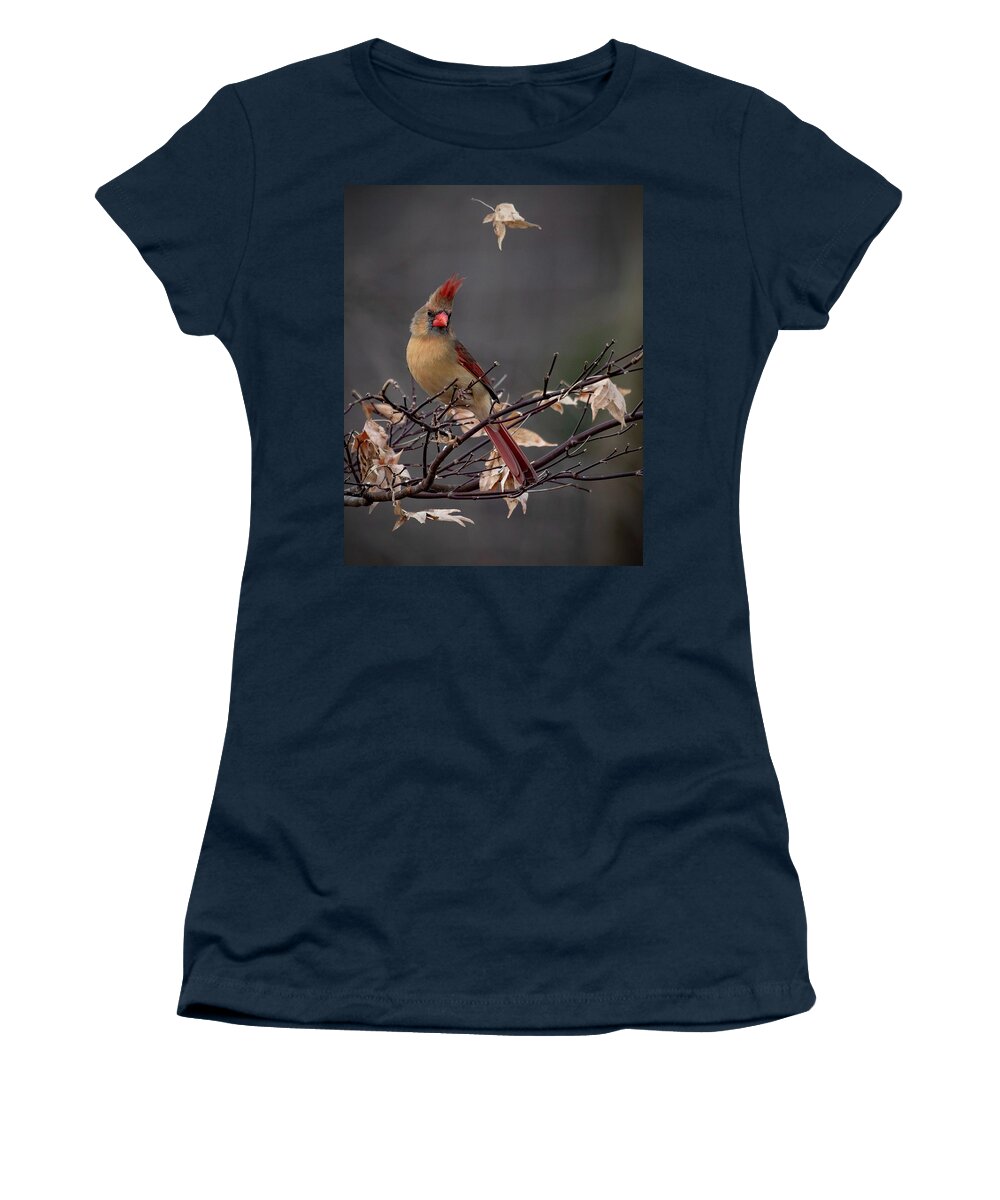 Cardinal Women's T-Shirt featuring the photograph Rainy Day Cardinal by Mindy Musick King