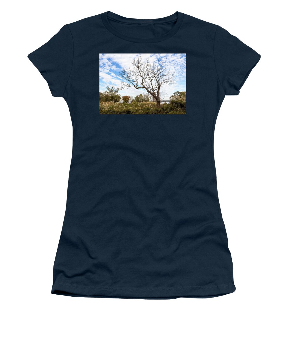 Autumn Women's T-Shirt featuring the photograph Reaching Skyward by Amy Sorvillo