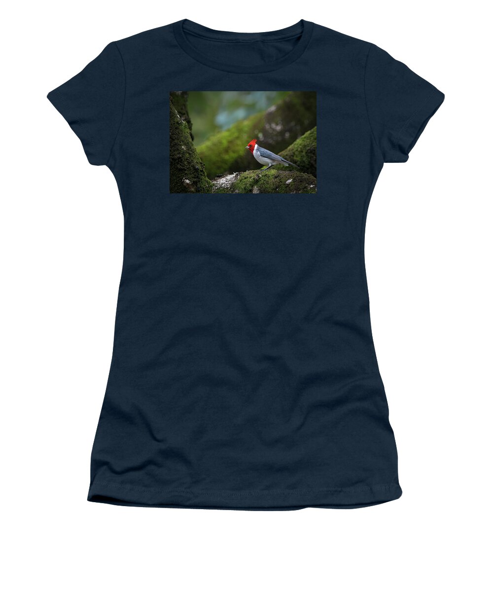 Red Crested Cardinal Women's T-Shirt featuring the photograph Red Crested Cardinal by Rick Mosher