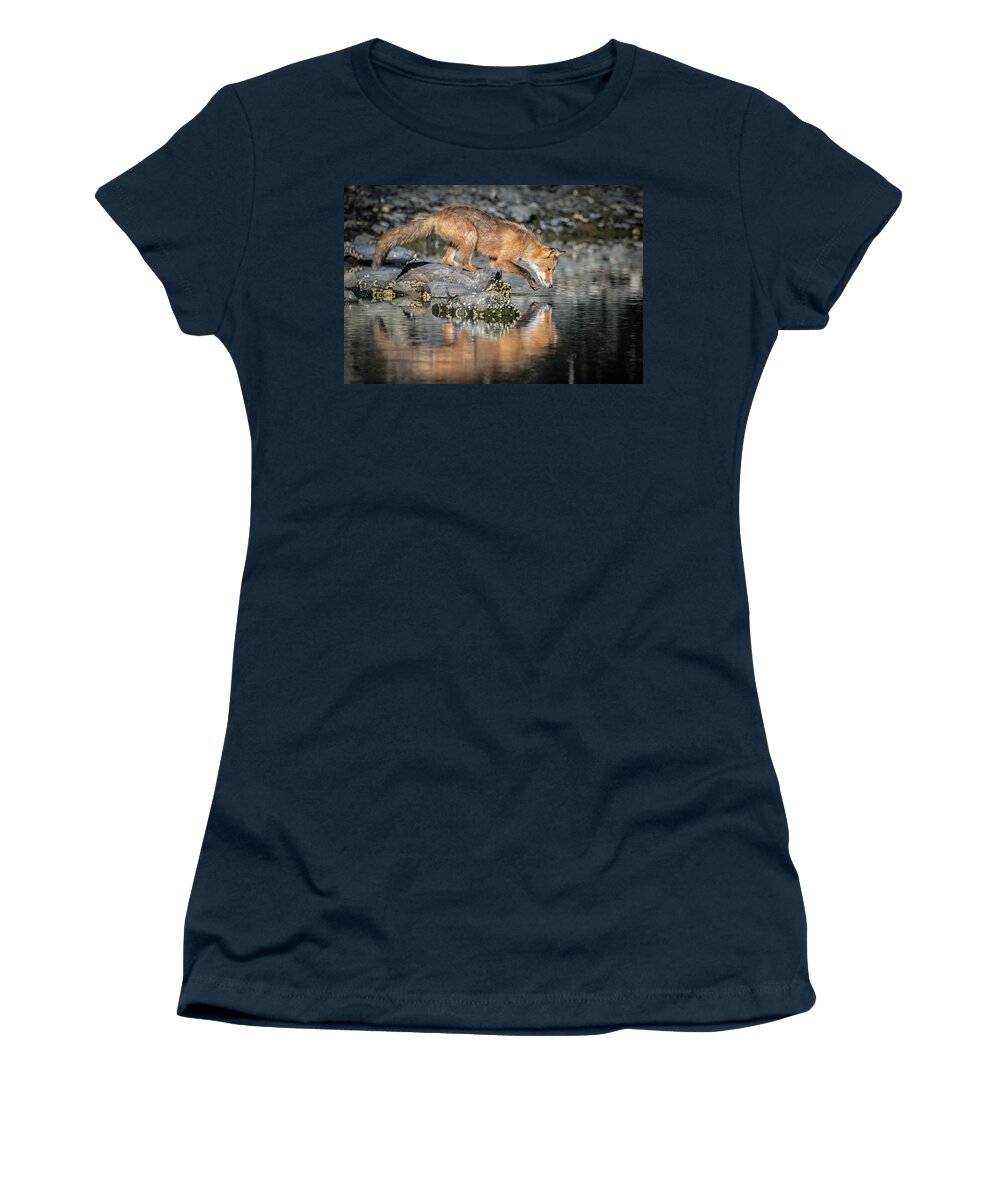 (vulpes Vulpes) Women's T-Shirt featuring the photograph Red Fox Reflection by James Capo