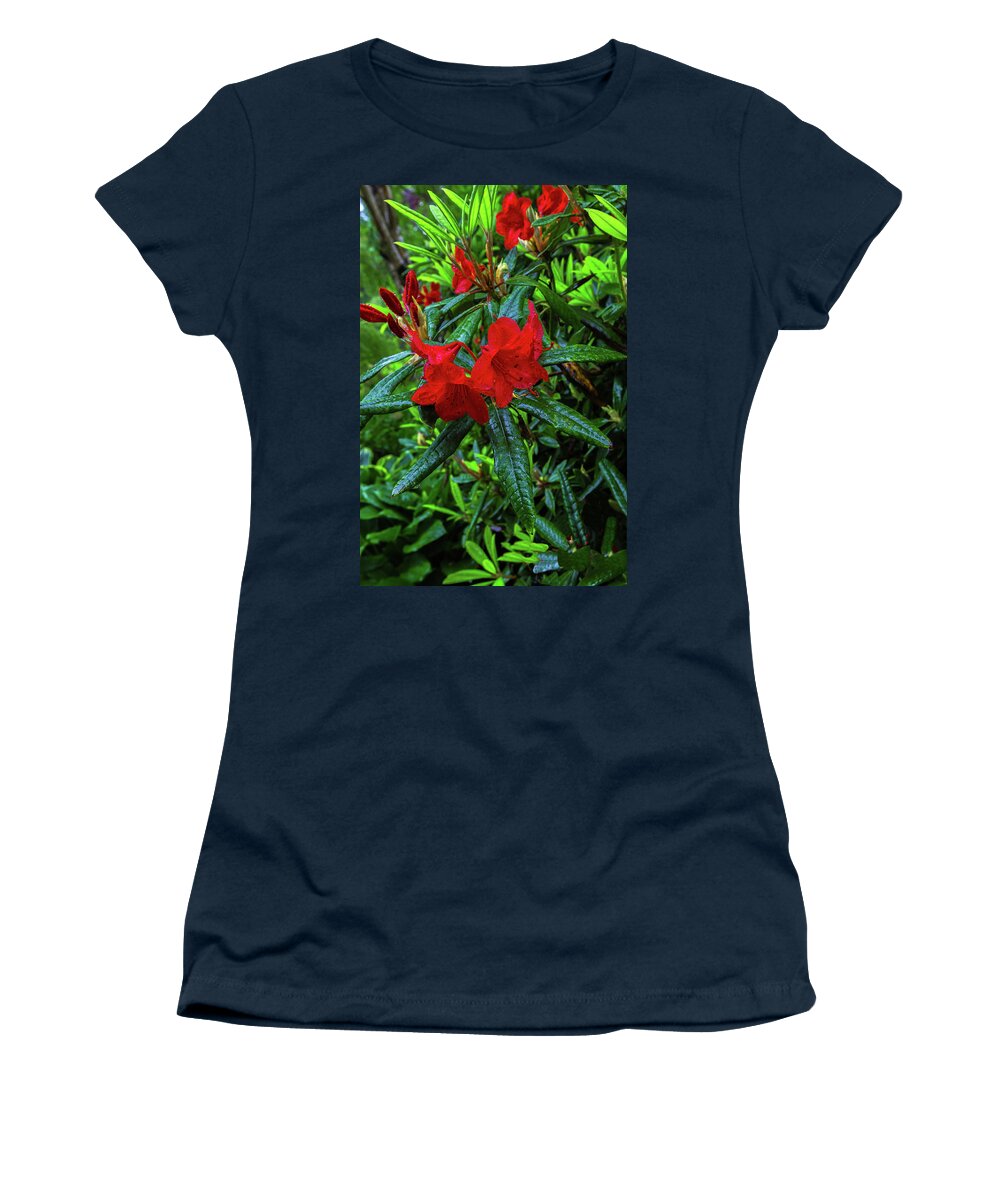 Alex Lyubar Women's T-Shirt featuring the photograph Red Rhododendron covered with dew by Alex Lyubar