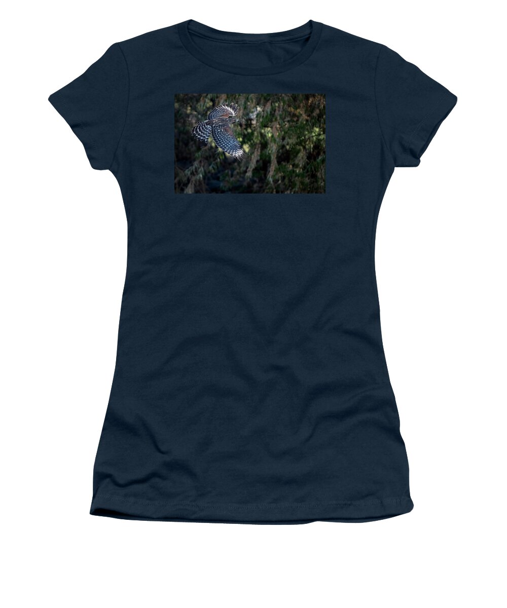 Red Shouldered Hawk Women's T-Shirt featuring the photograph Red Shouldered Hawk 2 by Rick Mosher