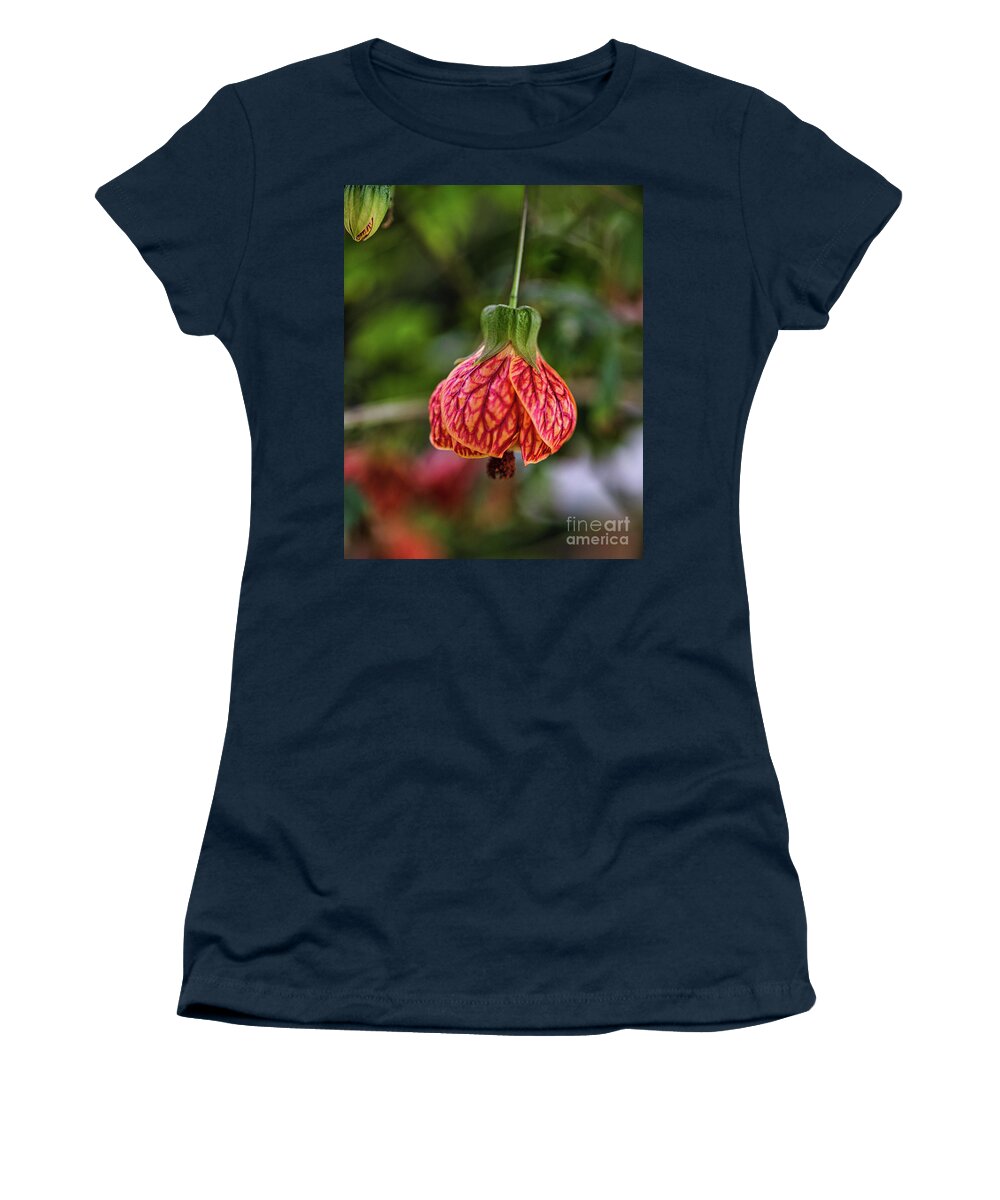 Chinese Lantern Women's T-Shirt featuring the photograph Red Vein Indian Mallow Chinese Lantern flower - Abutilon Striatum by Abigail Diane Photography