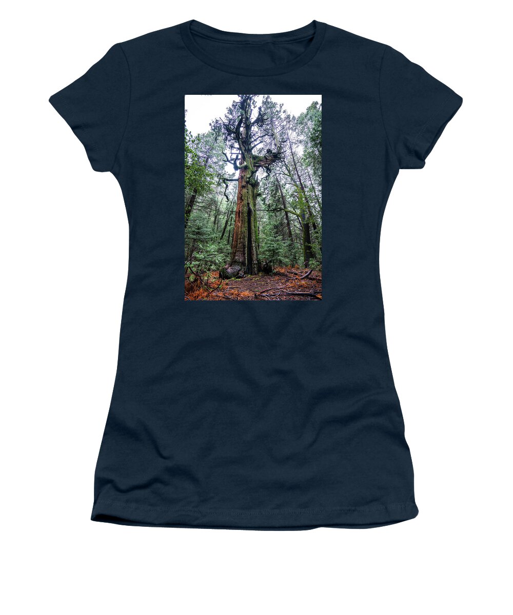 Tree Women's T-Shirt featuring the photograph Resident by Ryan Weddle