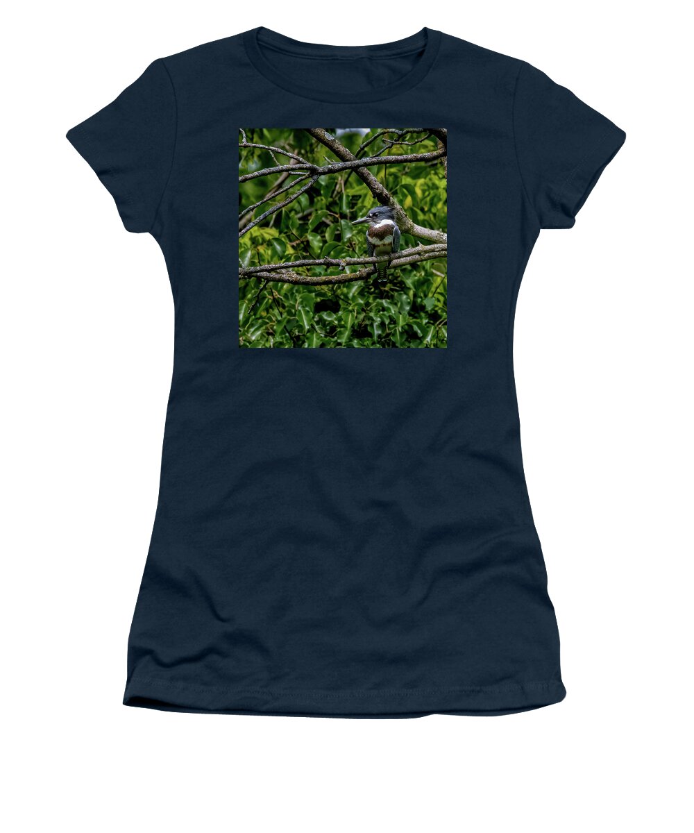 Animal Women's T-Shirt featuring the photograph Resting Kingfisher by Brian Shoemaker