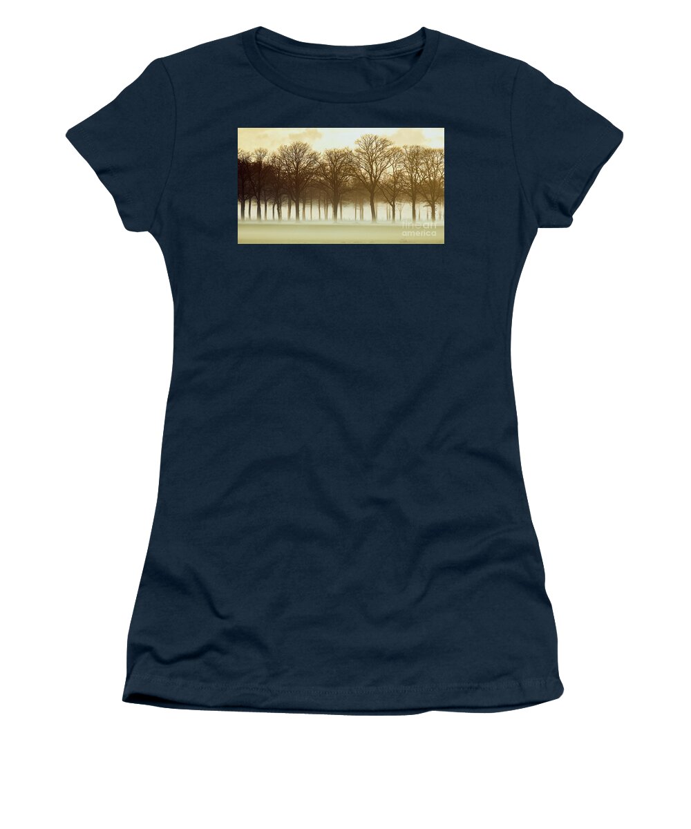 Row Trees Women's T-Shirt featuring the photograph Row trees in a low-hanging mist by Nick Biemans