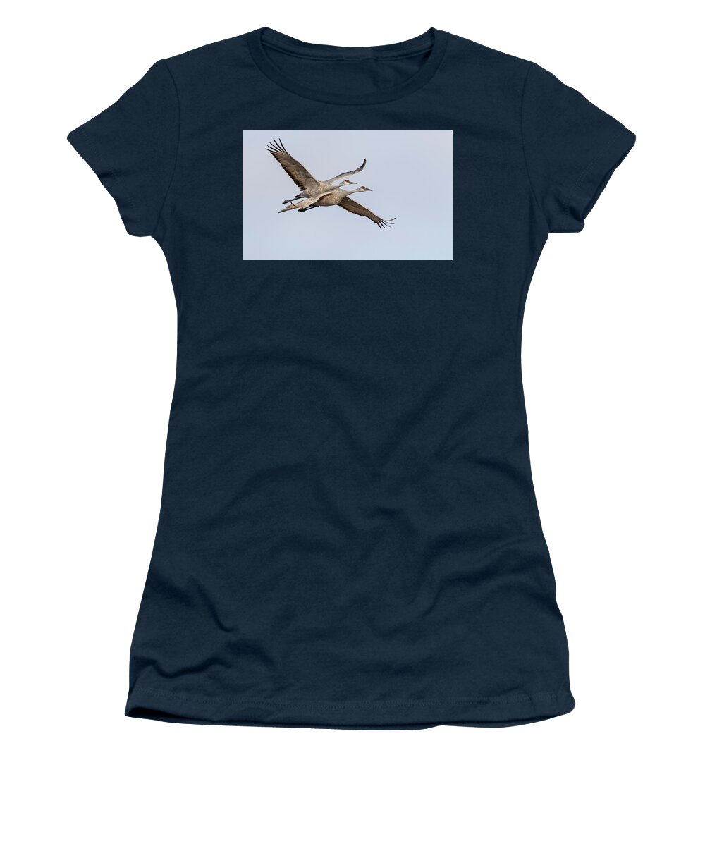 Sandhill Cranes Women's T-Shirt featuring the photograph Sandhill Cranes in Flight 2020-6 by Thomas Young