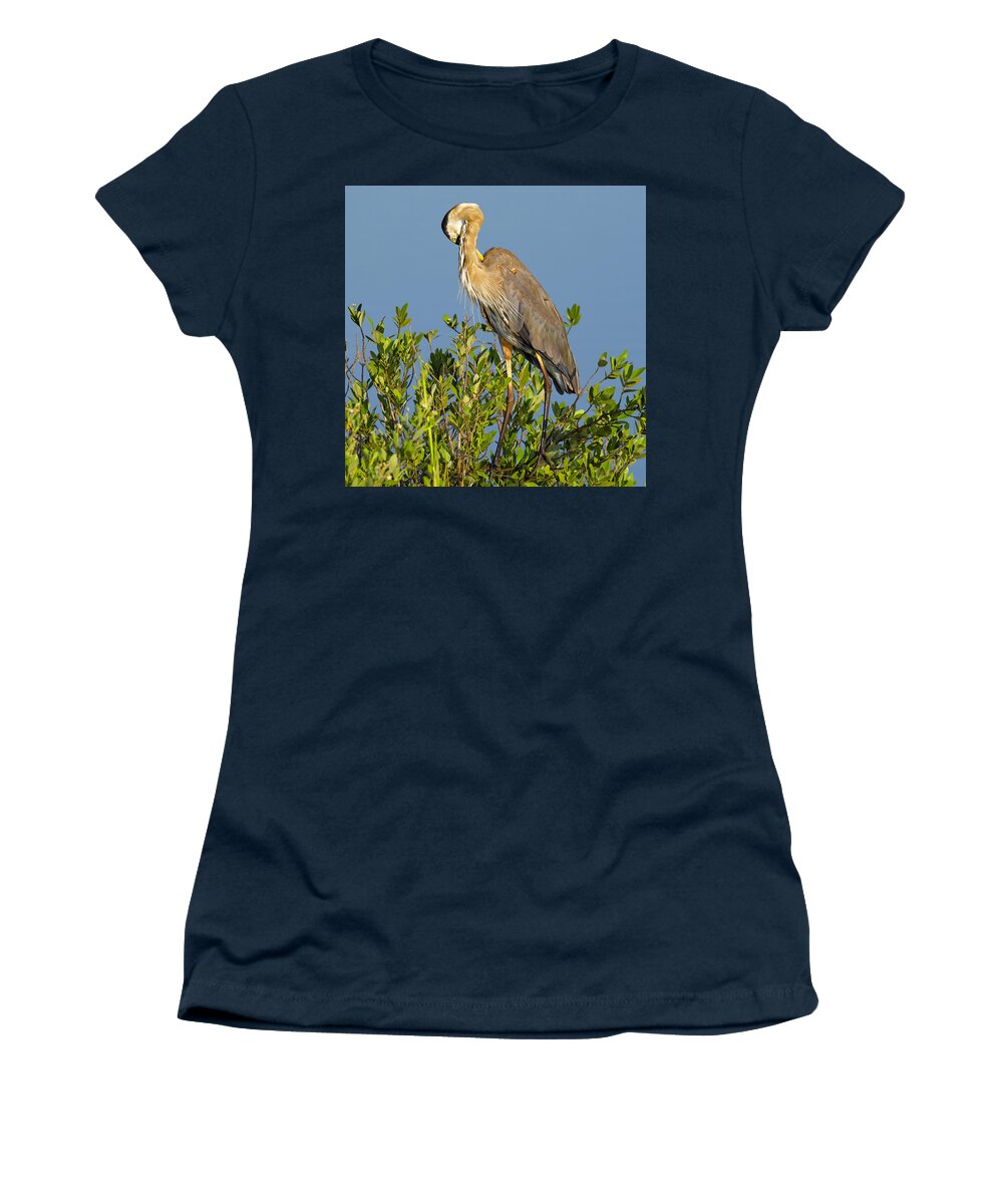R5-2652 Women's T-Shirt featuring the photograph Scratch that Itch by Gordon Elwell