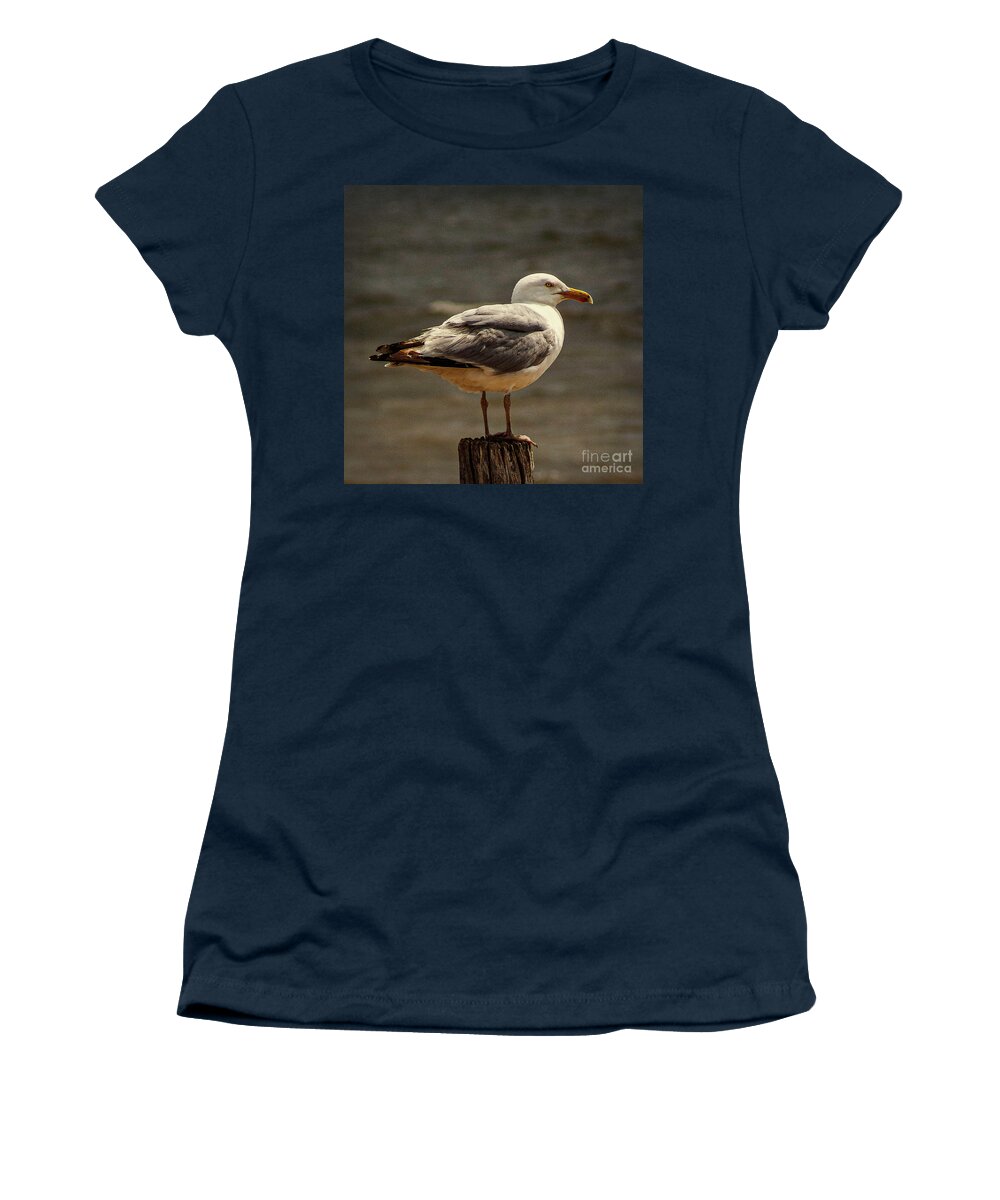 New Jersey Women's T-Shirt featuring the photograph Sea Gull on Post by Nick Zelinsky Jr