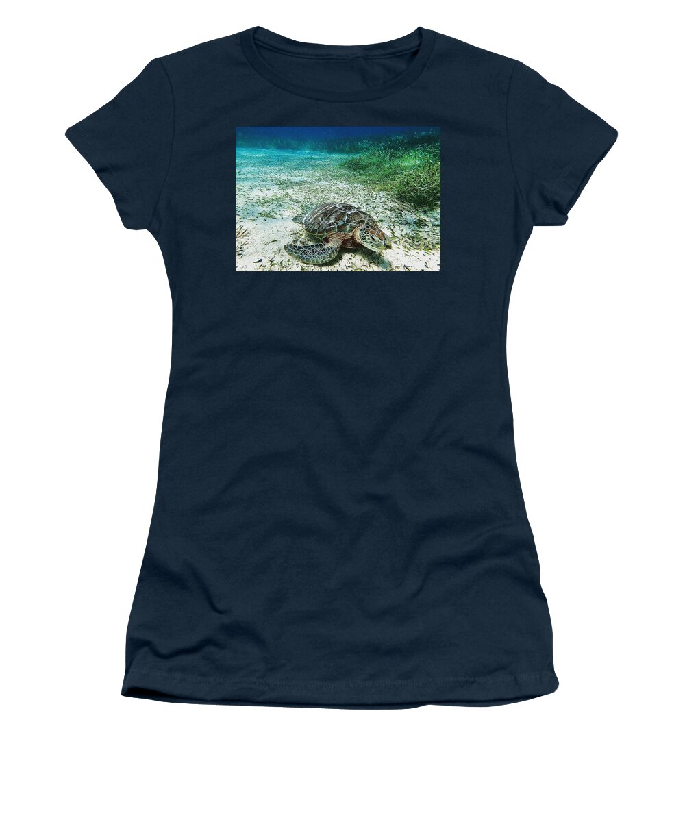 Belize Women's T-Shirt featuring the photograph Sea turtle on the outskirts of the Belize barrier reef by Devin Wilson