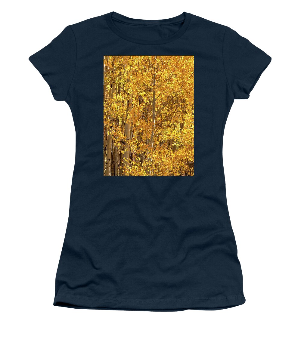 Aspen Trees In Colorado By Olena Art Fall In Full Bloom 🍁 Women's T-Shirt featuring the photograph Season Of Gold 3d Panel Split Triptych  by OLena Art by Lena Owens - Vibrant Design and