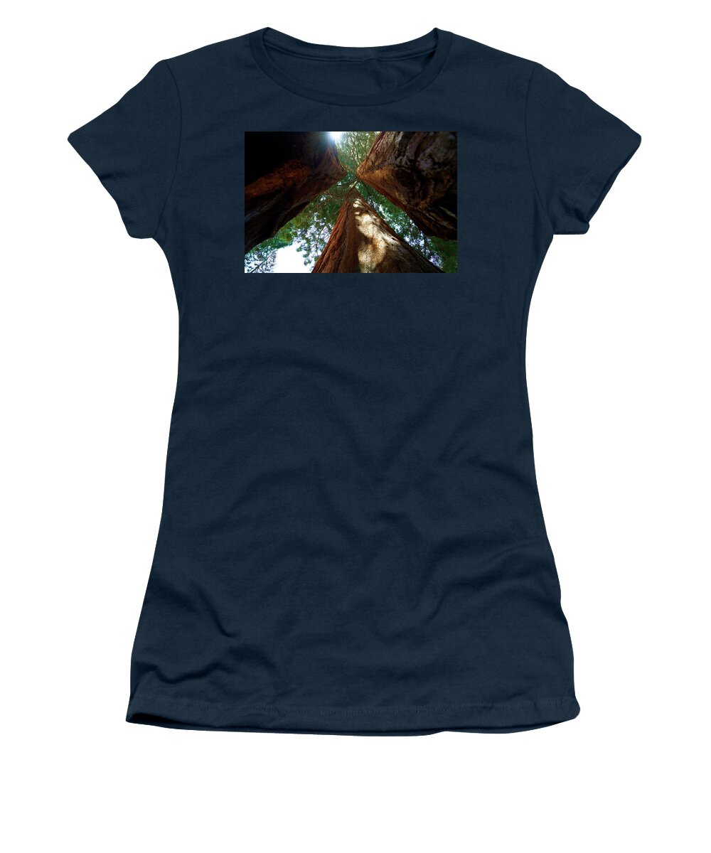 Sequoia National Forest Women's T-Shirt featuring the photograph Sequoia Forest by Rick Wilking