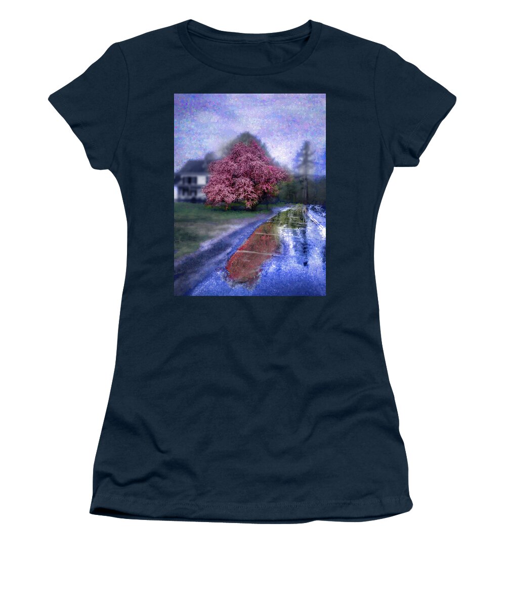Wallace Women's T-Shirt featuring the photograph Seurat Afternoon on the Quincy Road by Wayne King