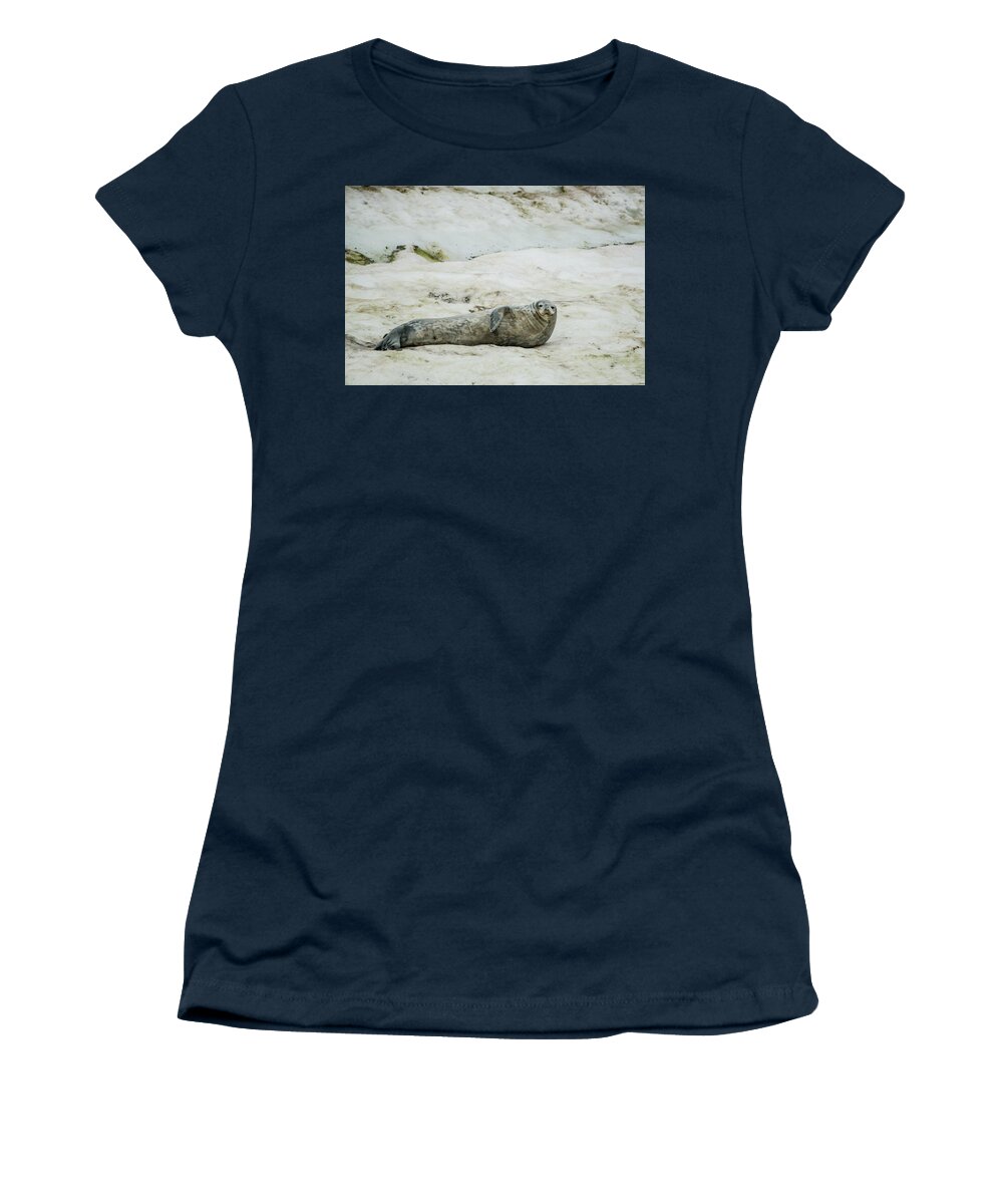 03feb20 Women's T-Shirt featuring the photograph Sexy Seal Pose by Jeff at JSJ Photography