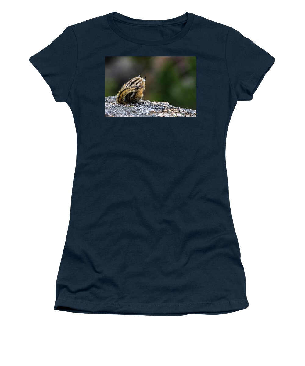 Mammal Women's T-Shirt featuring the photograph Shy Chipmunk by Jason Roberts