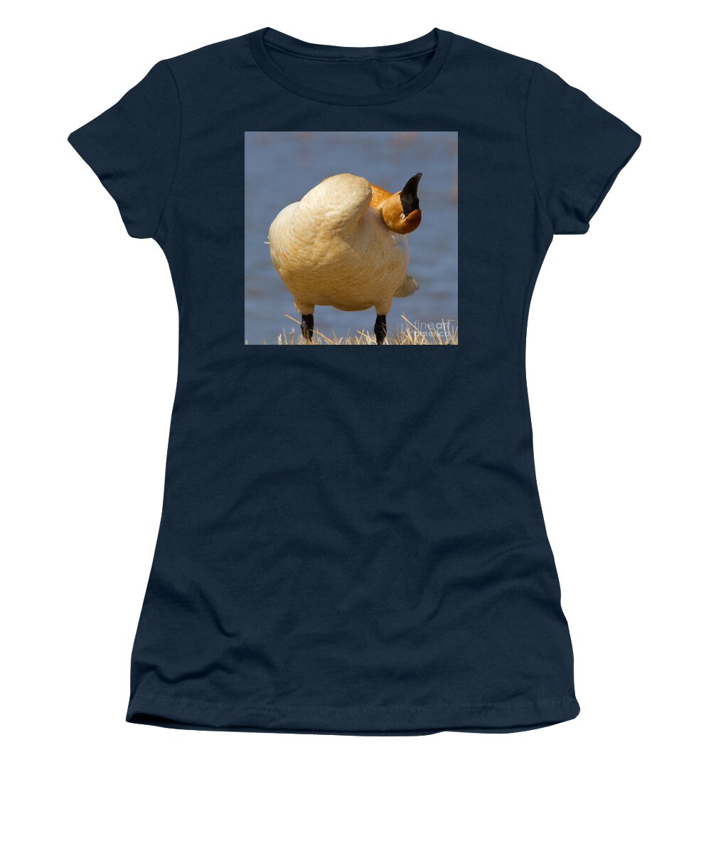 Swan Women's T-Shirt featuring the photograph Sleepy Swan by Yvonne M Smith
