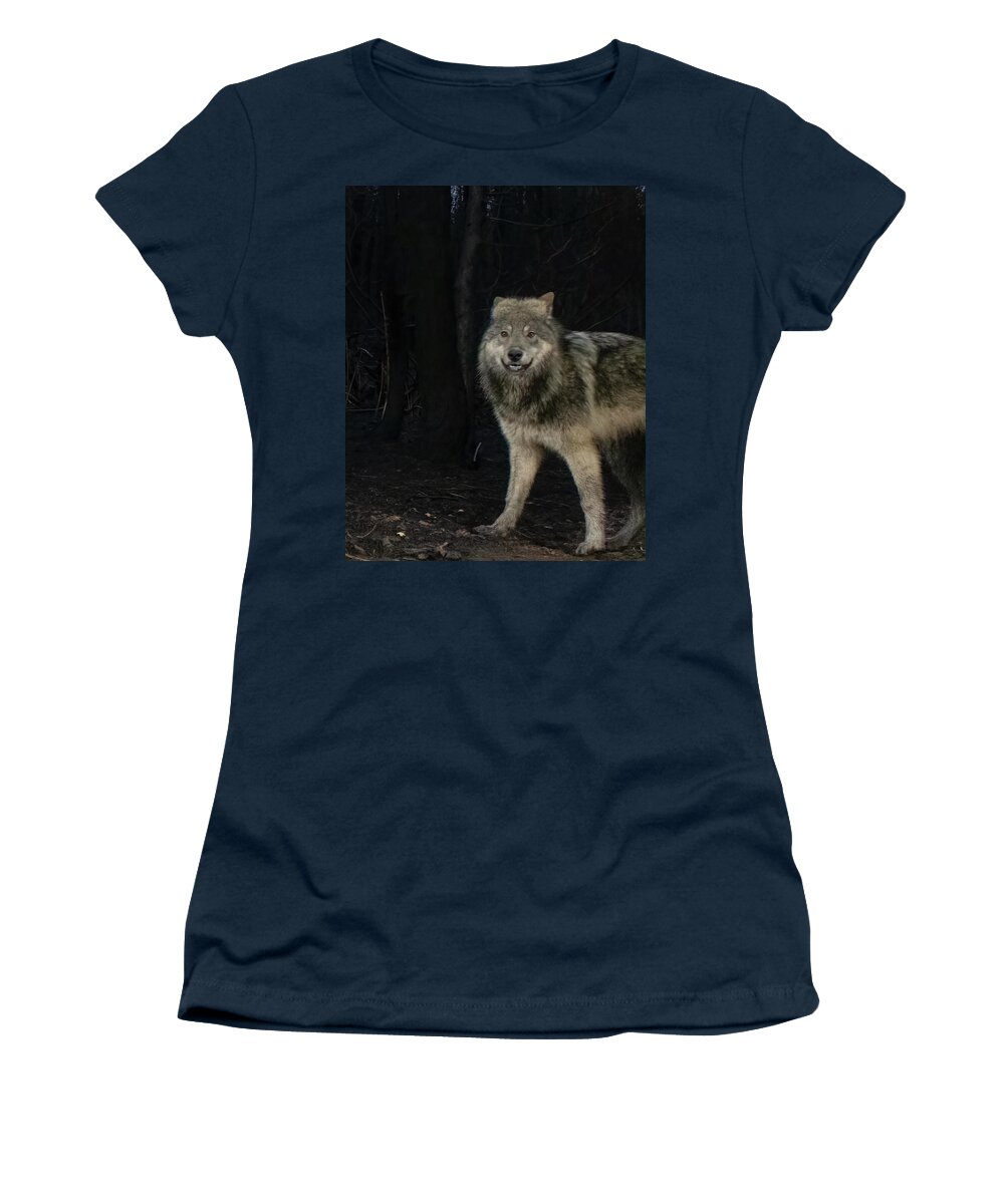 Wolf Women's T-Shirt featuring the photograph Smiley the Friendliest Lassen Pack Wolf by Randy Robbins