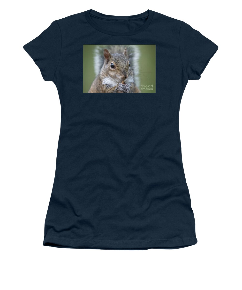 Eastern Gray Squirrel Women's T-Shirt featuring the photograph Snack by John Hartung  ArtThatSmiles com