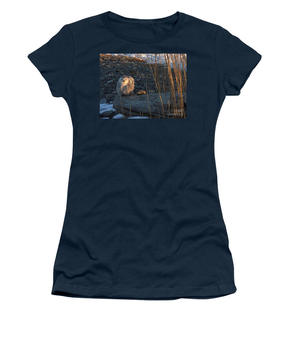  Snow Women's T-Shirt featuring the photograph Snow Owl # 3 by Marcia Lee Jones