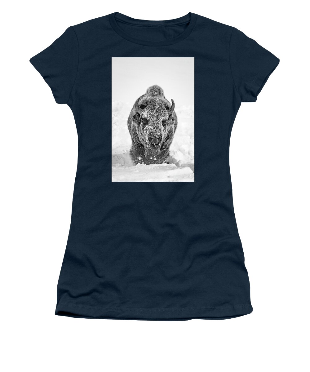 Bison Women's T-Shirt featuring the photograph Snowy Bison by D Robert Franz