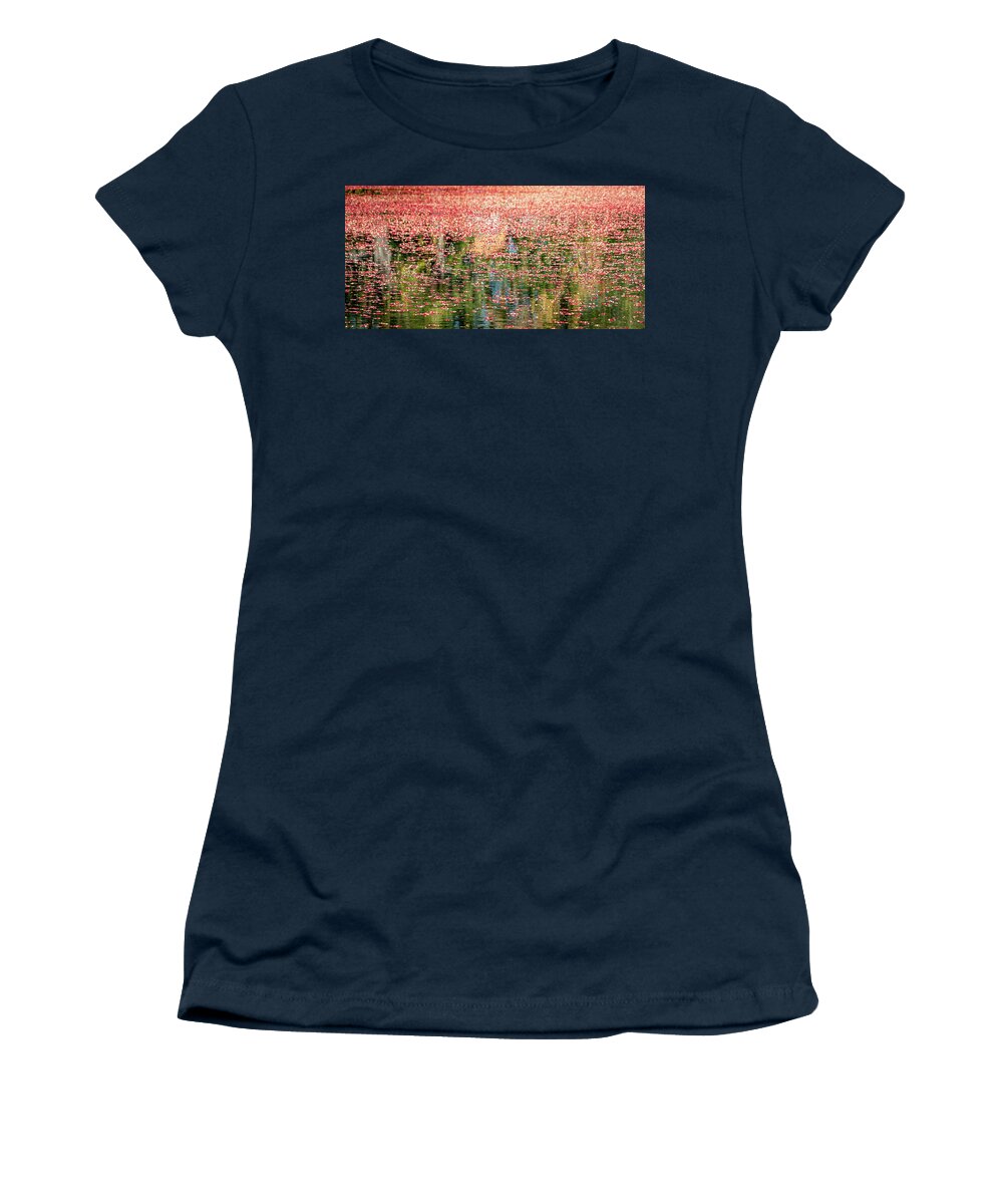 Cranberries Women's T-Shirt featuring the photograph South Jersey Cranberry Bogs by GeeLeesa
