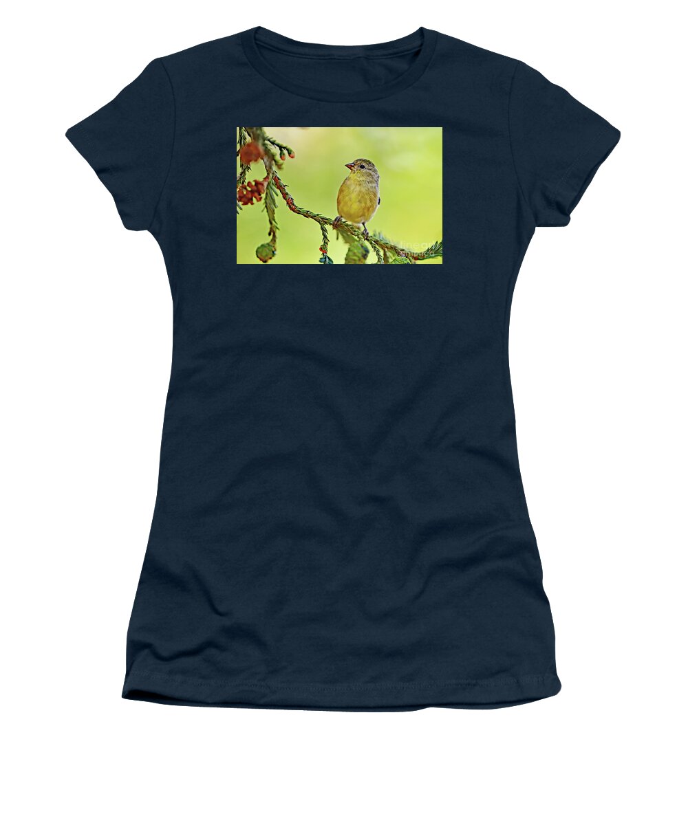 Spinus Psaltria Women's T-Shirt featuring the photograph Spinus psaltria aka Lesser Goldfinch by Amazing Action Photo Video