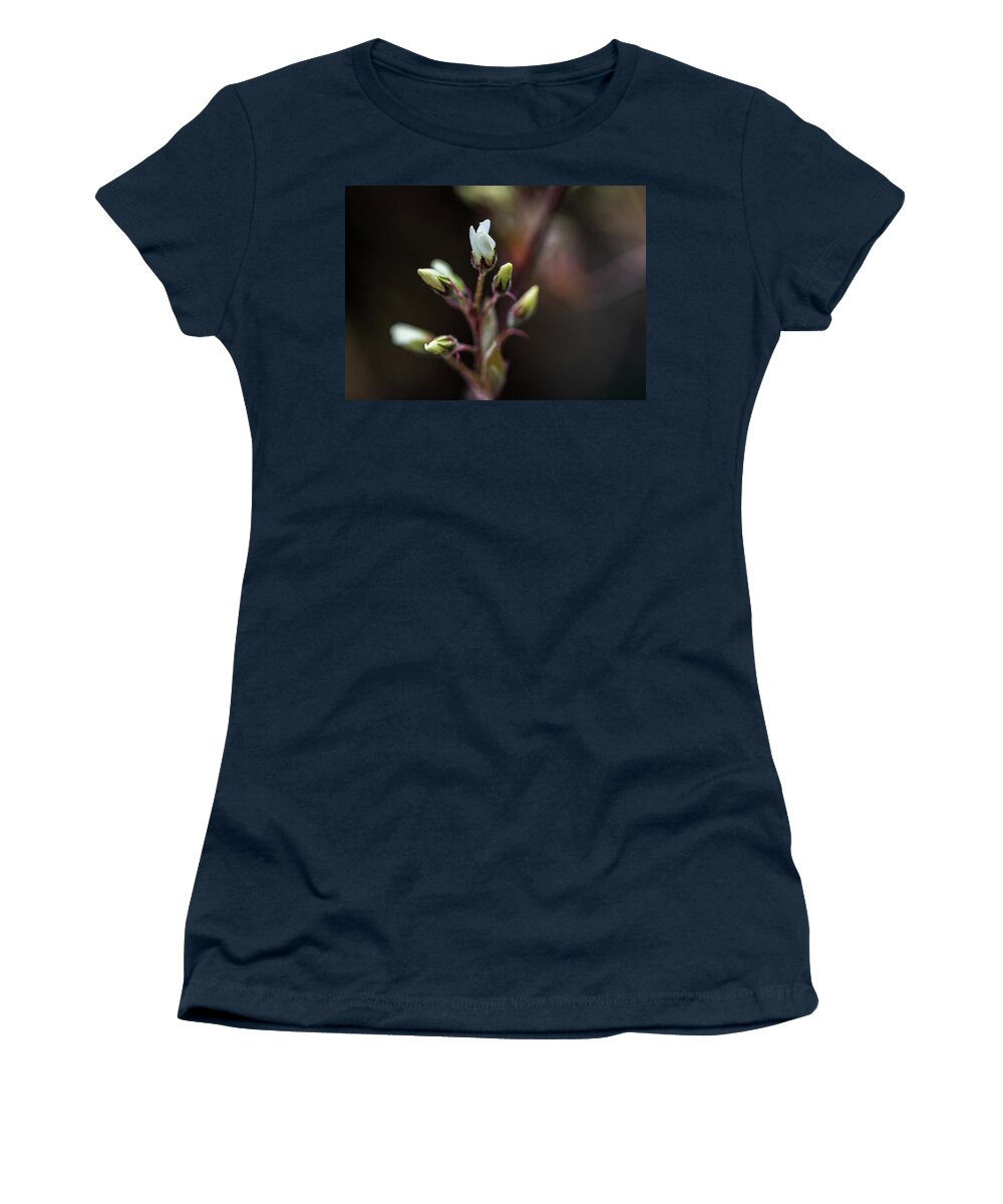 Plant Women's T-Shirt featuring the photograph Spring Flowers Buds - White by Amelia Pearn