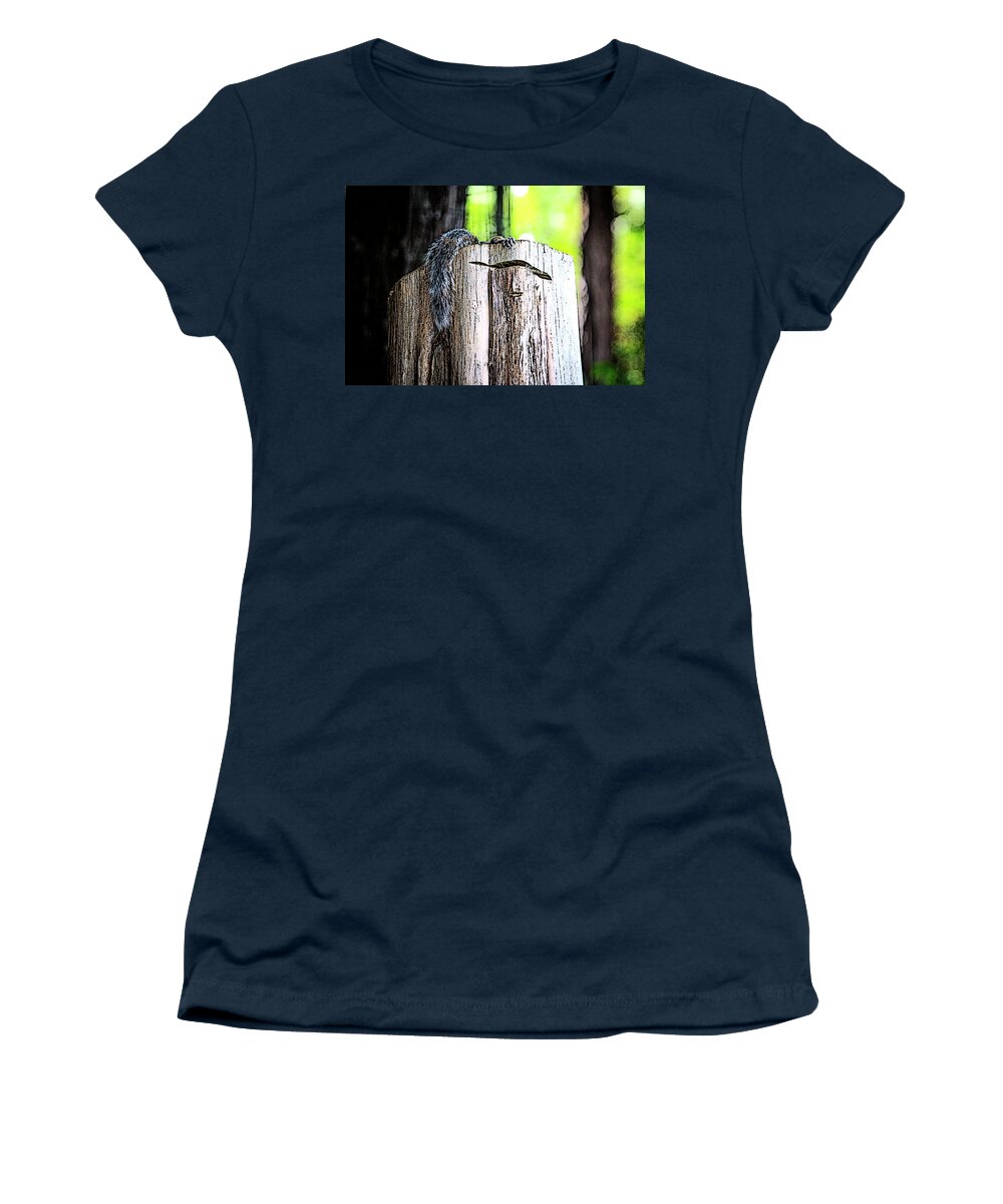 Charlotte-park Women's T-Shirt featuring the digital art Squirrel at the Lake by SnapHappy Photos