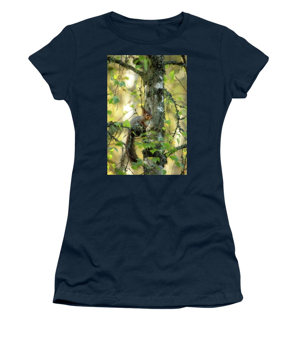 Nature Women's T-Shirt featuring the photograph Squirrels in forest by Rose-Marie Karlsen