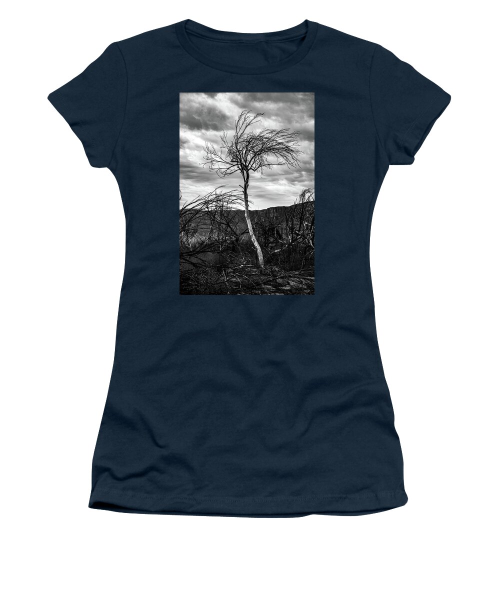Black And White Women's T-Shirt featuring the photograph Standing Tall by KC Hulsman