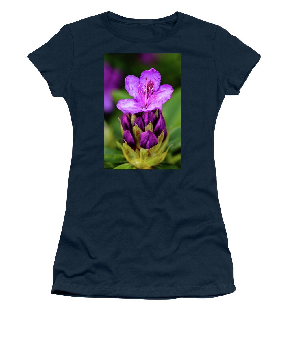 Rhododendron Women's T-Shirt featuring the photograph Starting to Bloom by Aashish Vaidya