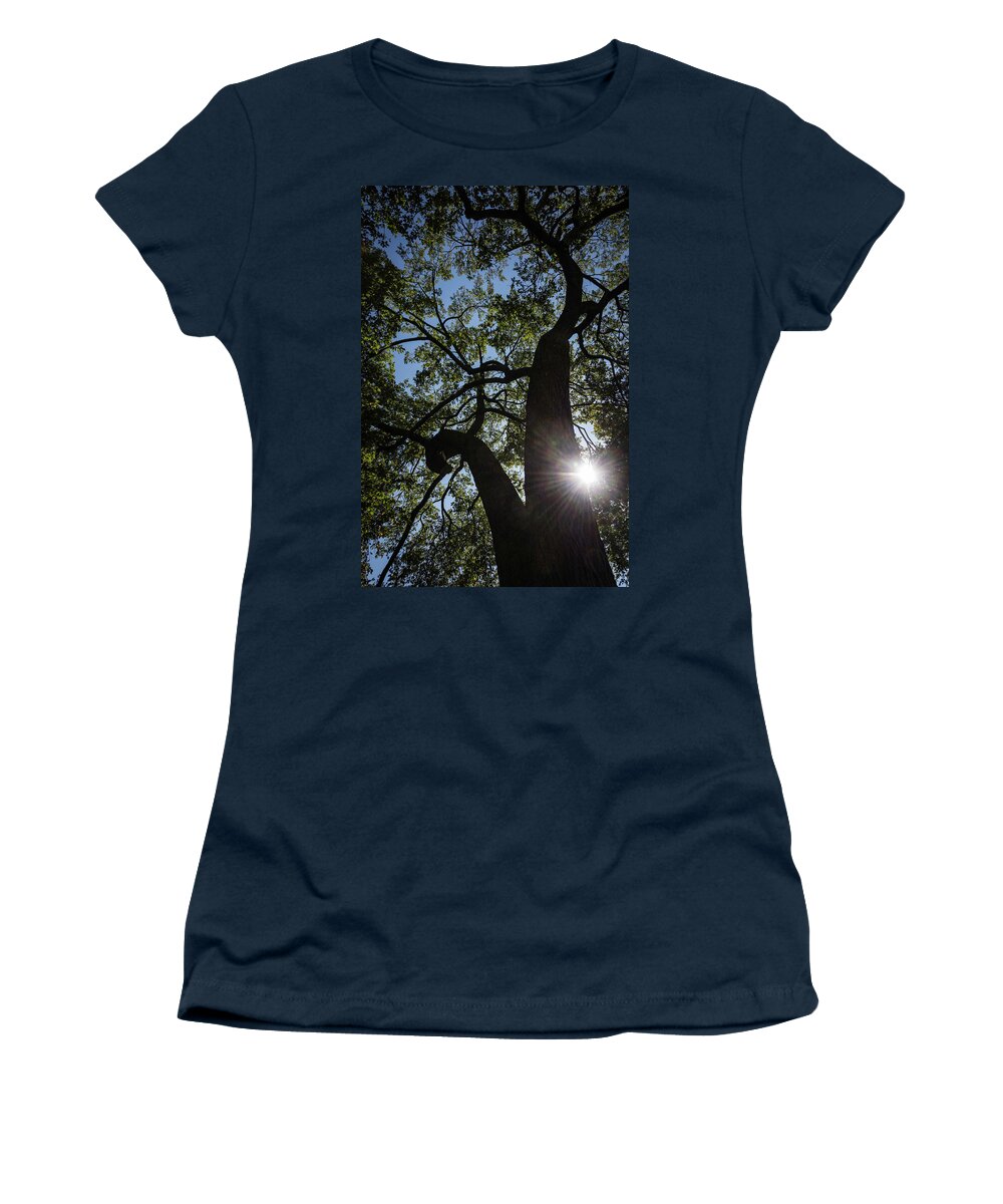 Chicago Women's T-Shirt featuring the photograph Stately Tree by Norman Reid