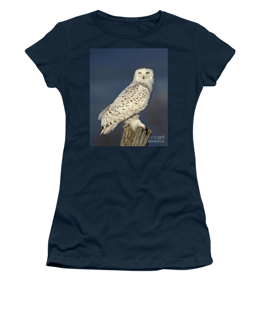 Snowy Owl Women's T-Shirt featuring the photograph Stoic by Heather King