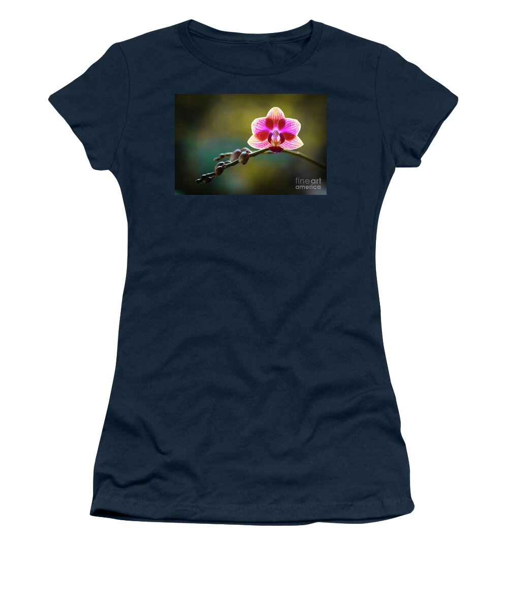 Background Women's T-Shirt featuring the photograph Striped Orchid Flower by Raul Rodriguez