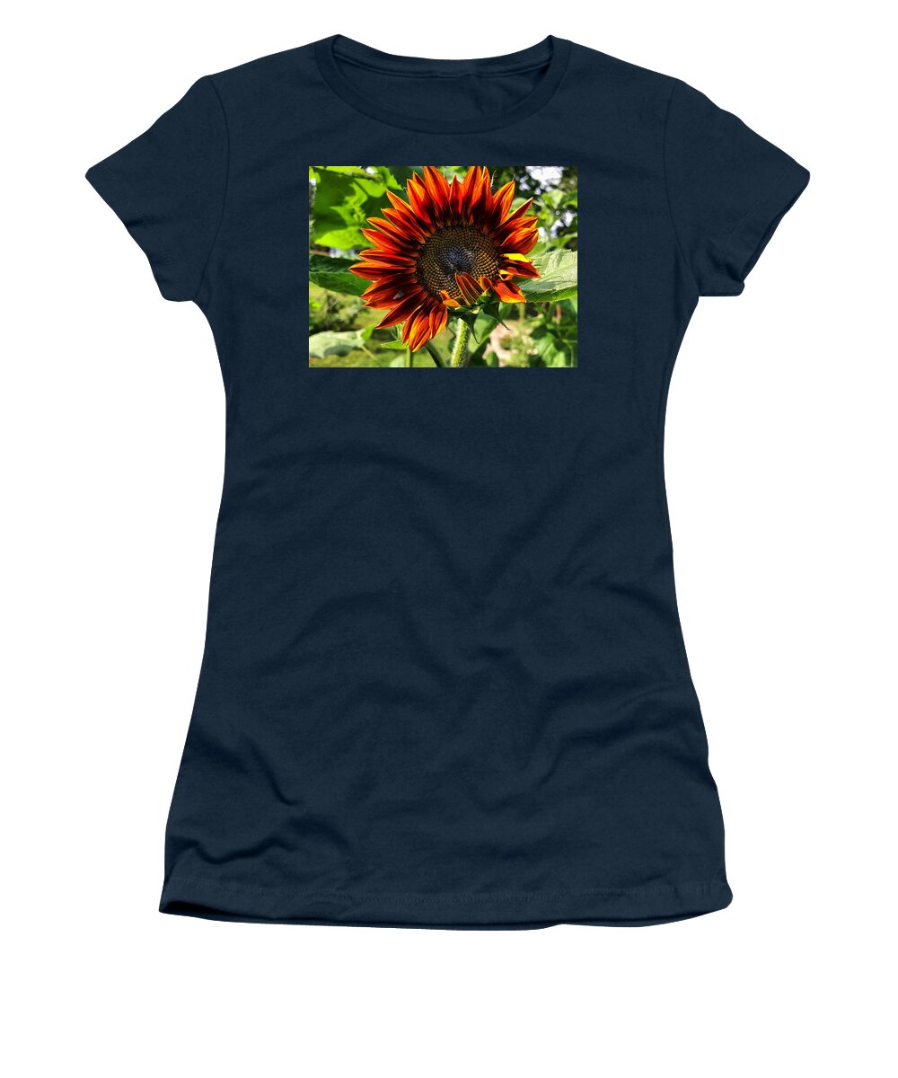  Women's T-Shirt featuring the photograph Sunflower 1 by Stephen Dorton