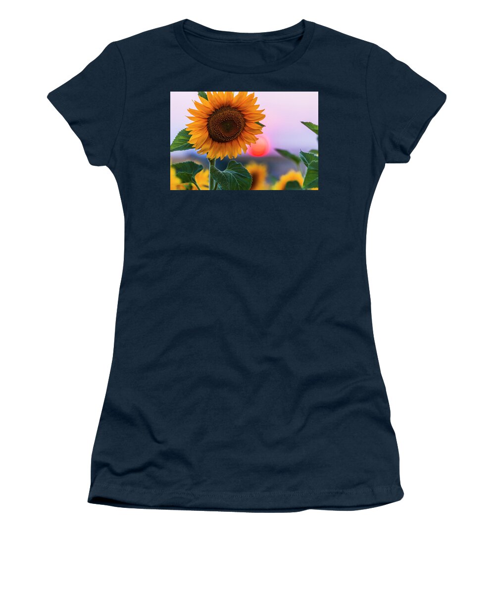Bulgaria Women's T-Shirt featuring the photograph Sunflower by Evgeni Dinev
