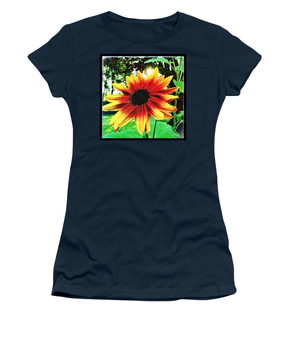 Sunflower Women's T-Shirt featuring the photograph Sunflower by Robert Dann