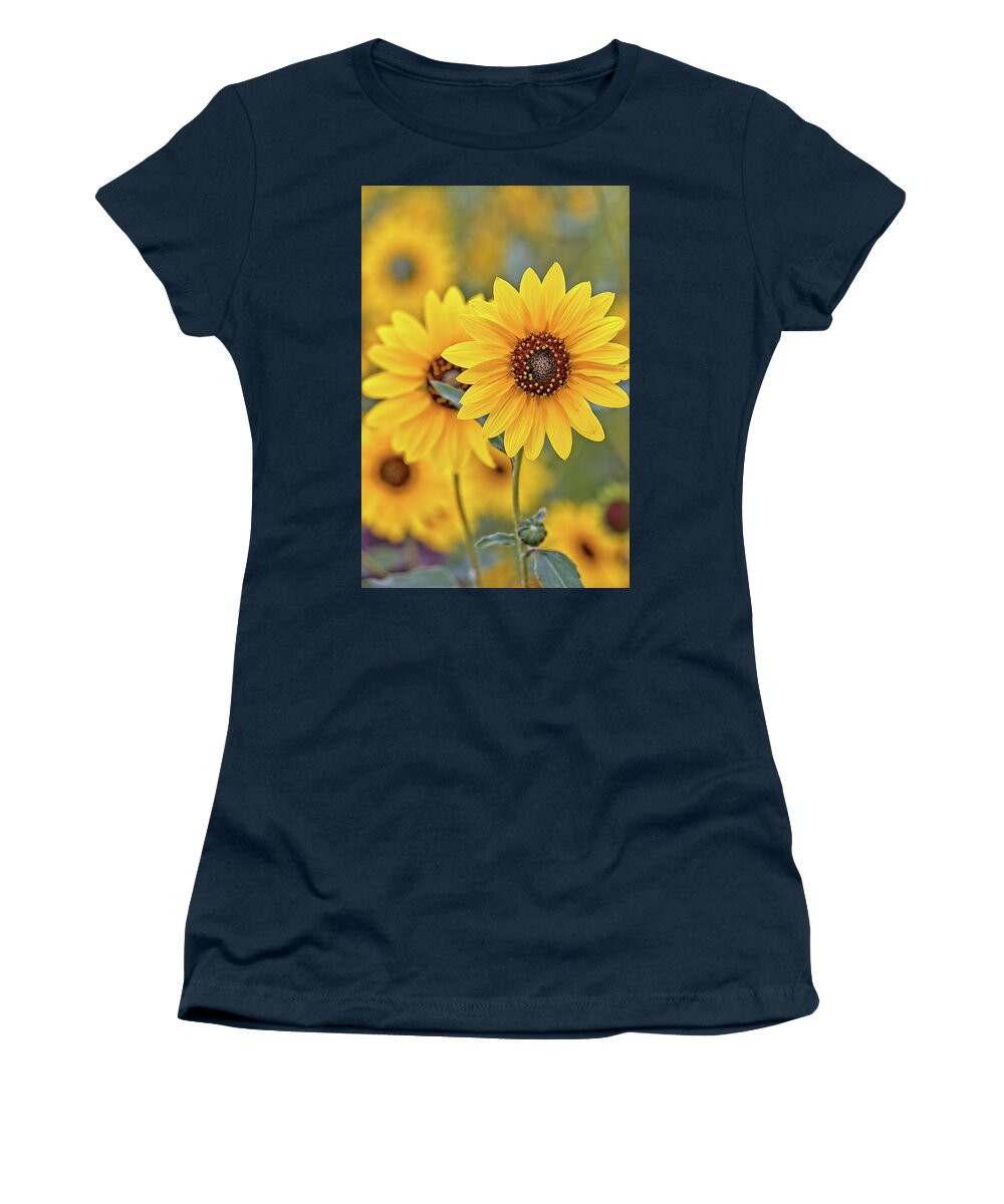 Sunflowers Women's T-Shirt featuring the photograph Sunflowers by Bob Falcone